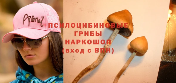 ешки Армянск