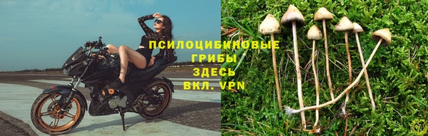 винт Аркадак