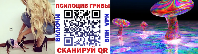 наркошоп  Чулым  Псилоцибиновые грибы мицелий 